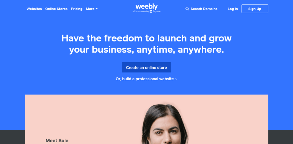 Best Free Website Builder in 2019